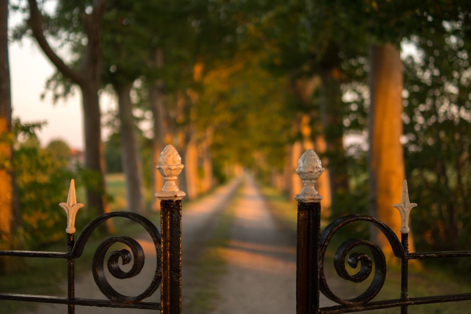 Iron gate opening onto a tree-lined path