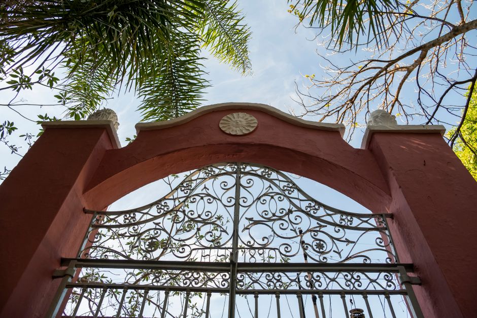 Black iron garden gate in bright sun