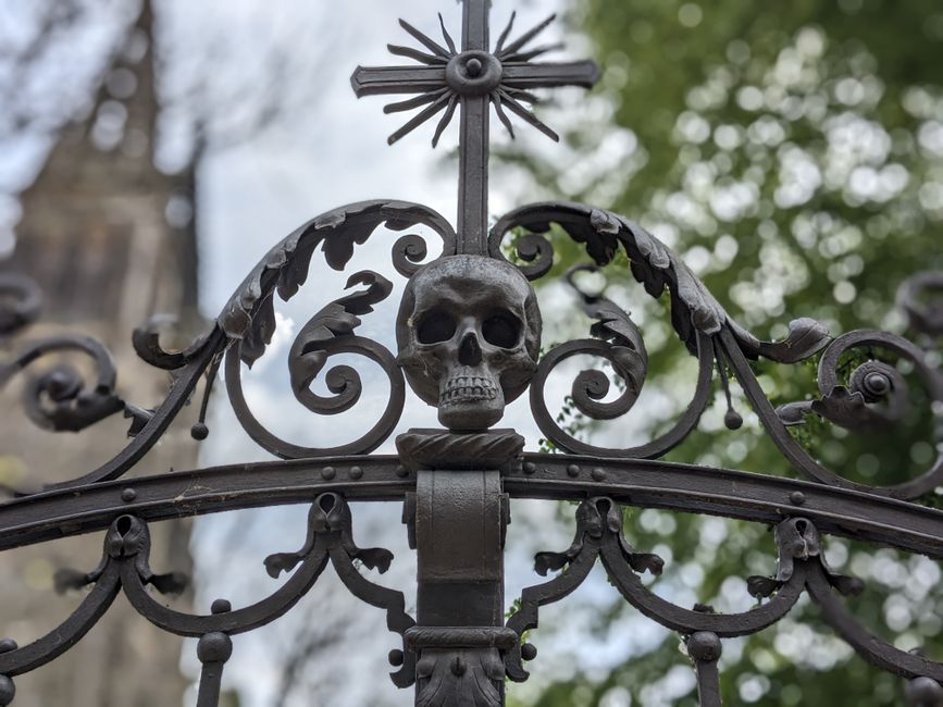Close view of decorative wrought iron bars on a gate